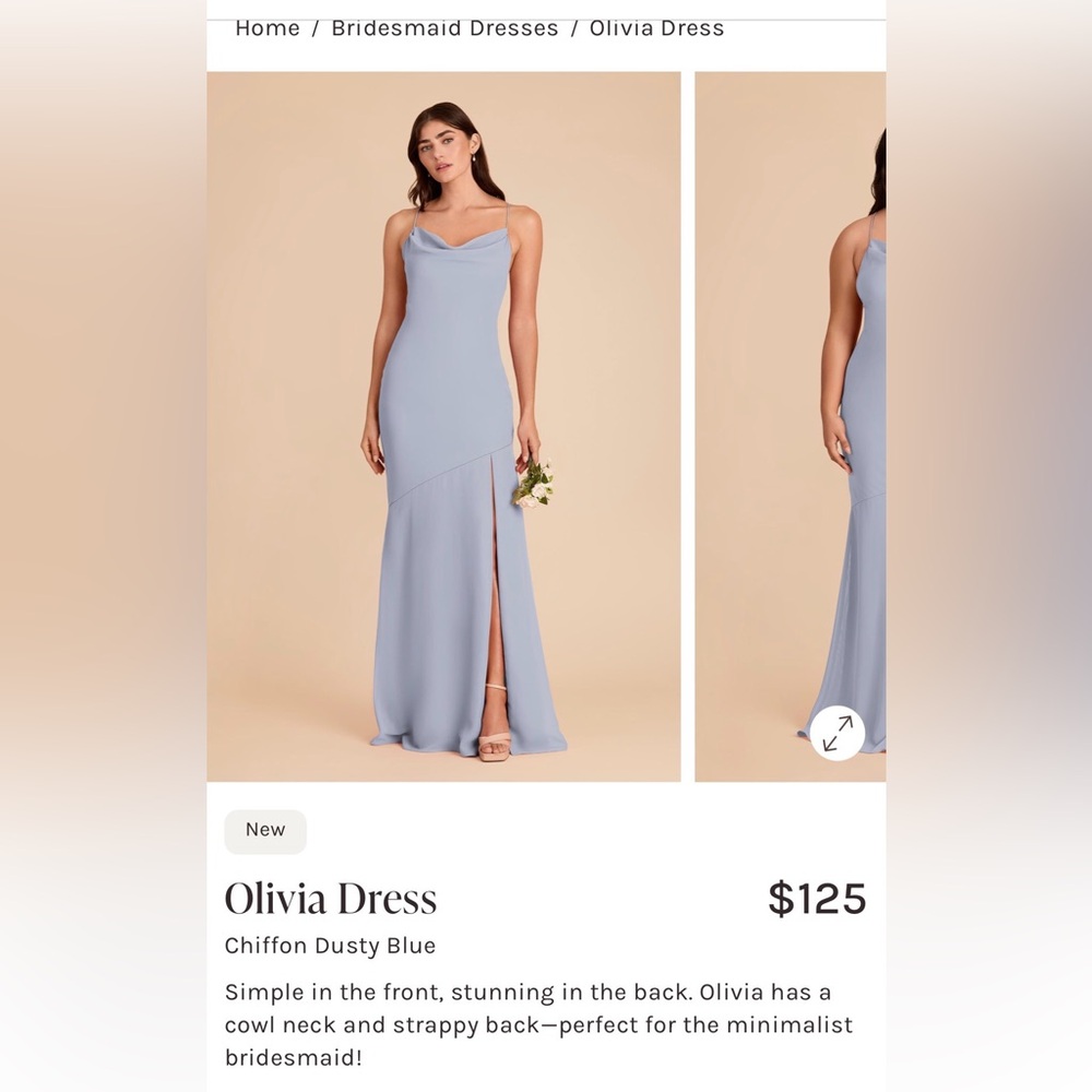 Birdy Grey Dusty Blue Maxi Dress